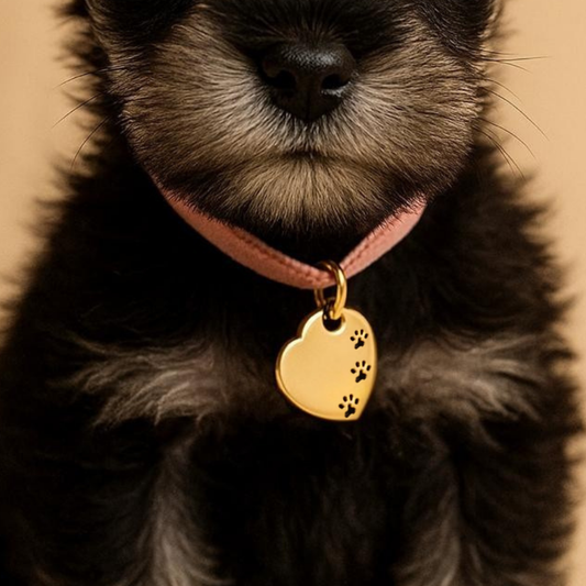 Collar MIMOO LovePet