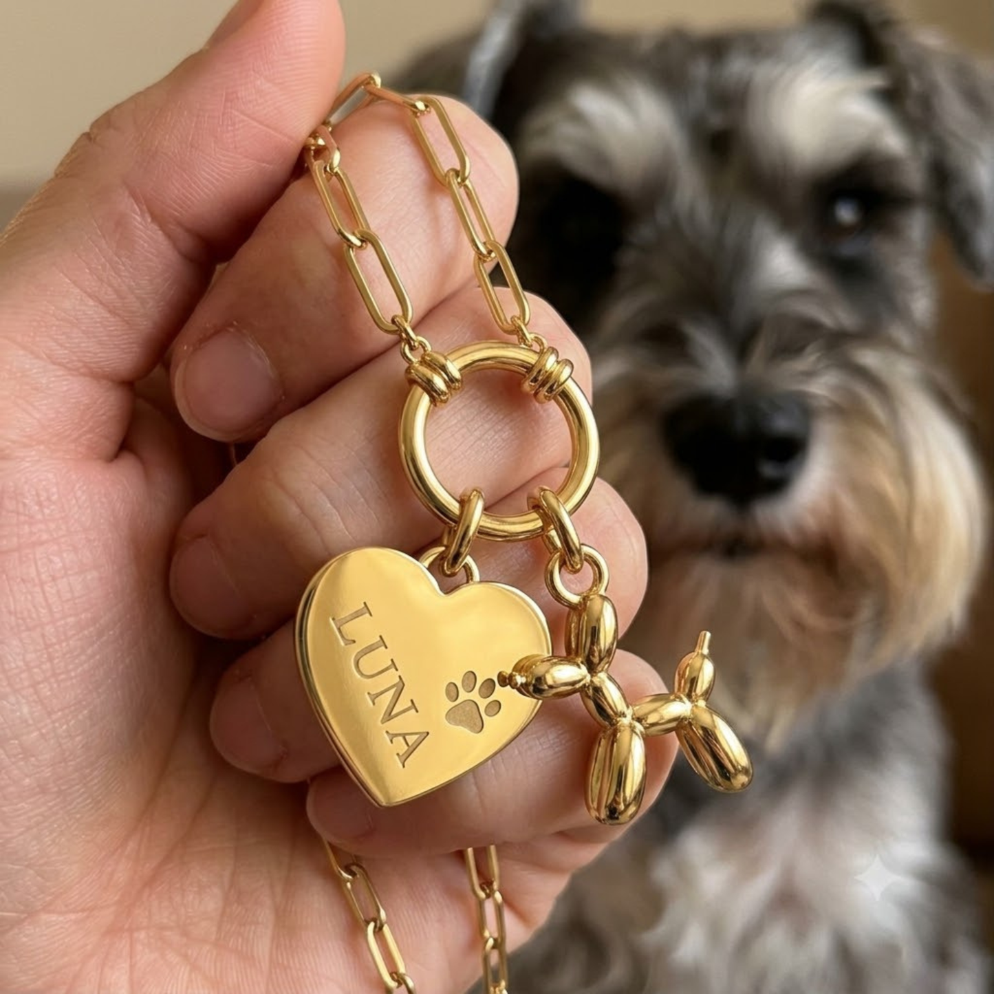 Charm Mi Mejor Amigo