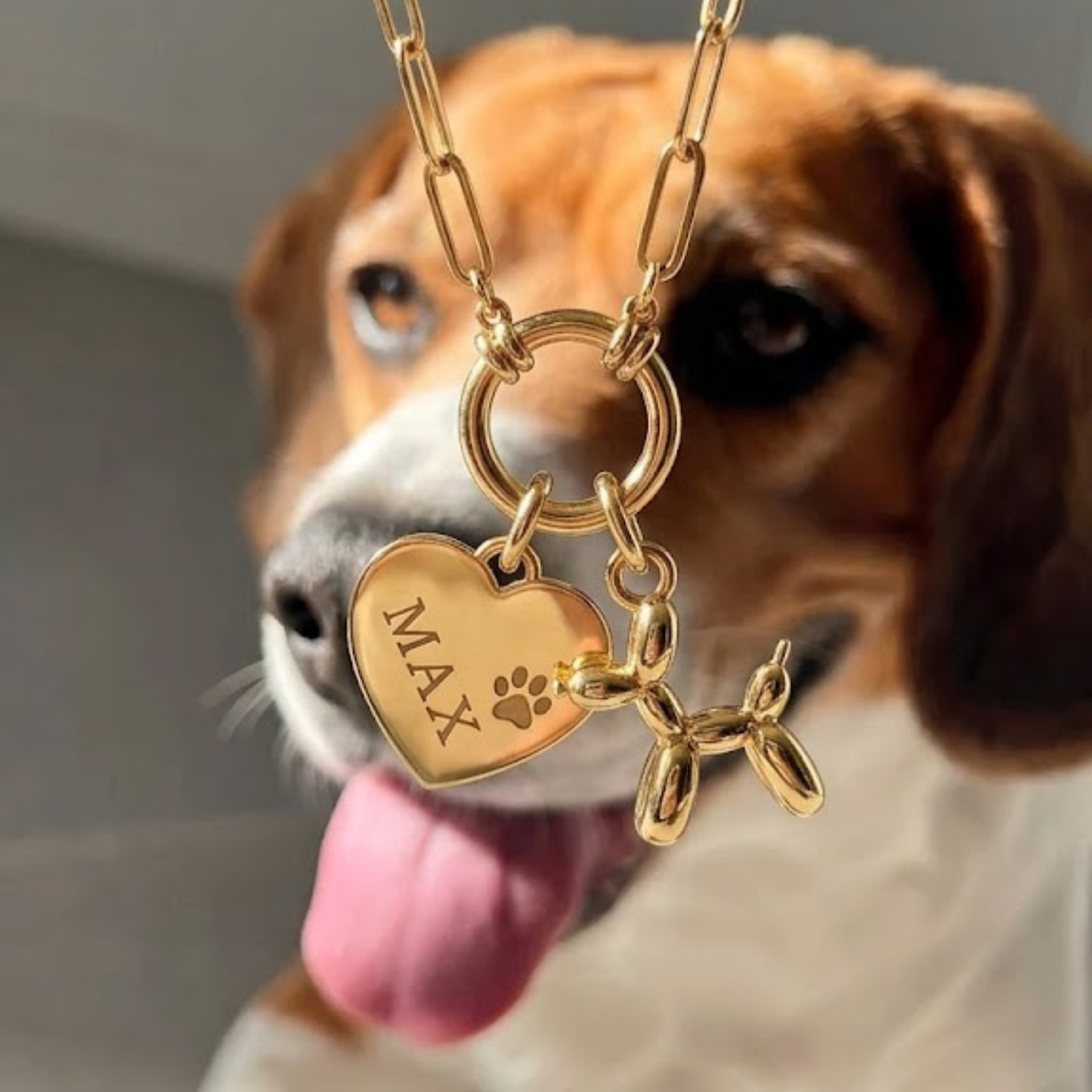 Charm Mi Mejor Amigo